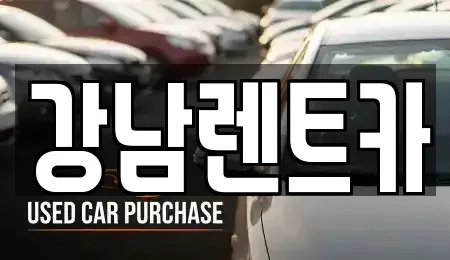 경기도 남양주시 단기렌트카 전문 강남렌트카
