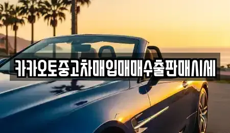 경기도 부천시 오정구 대장동 중고차매매 전문 카카오토중고차매입매매수출판매시세