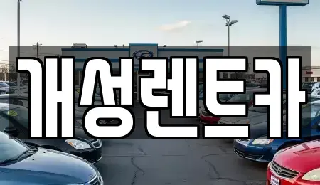 경기도 부천시 오정구 작동 렌트카 전문 개성렌트카