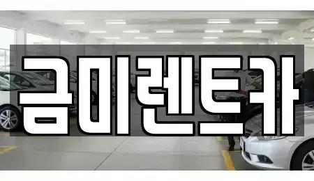 경기도 부천시 오정구 작동 렌트카 전문 금미렌트카