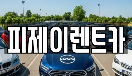 경기도 부천시 원미구 상동 렌트카 전문 피제이렌트카