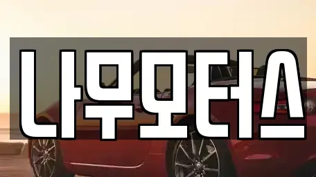 경기도 부천시 원미구 상동 중고차 전문 나무모터스