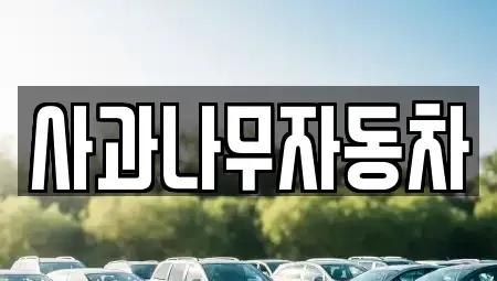 경기도 부천시 원미구 상동 중고차 전문 사과나무자동차