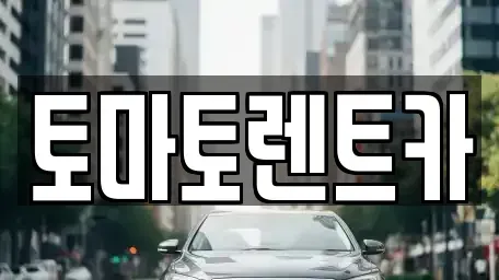 경기도 성남시 수정구 고등동 렌트카 전문 토마토렌트카