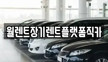 경기도 성남시 수정구 고등동 장기렌트카 전문 월렌트장기렌트플랫폼직카