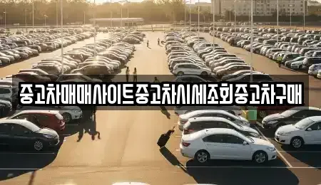 경기도 성남시 수정구 고등동 중고차 전문 중고차매매사이트중고차시세조회중고차구매