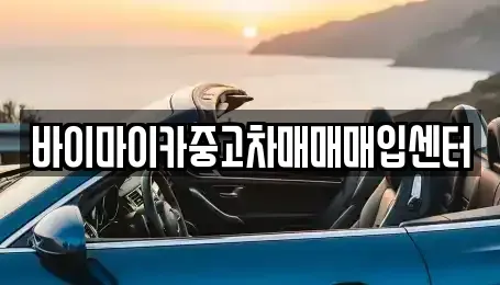 경기도 성남시 수정구 고등동 중고차매매 전문 바이마이카중고차매매매입센터