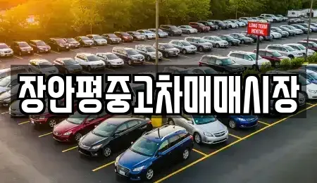 경기도 성남시 수정구 고등동 중고차매매 전문 장안평중고차매매시장