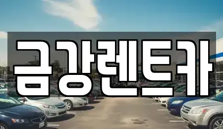 경기도 수원시 영통구 망포동 렌트카 전문 금강렌트카