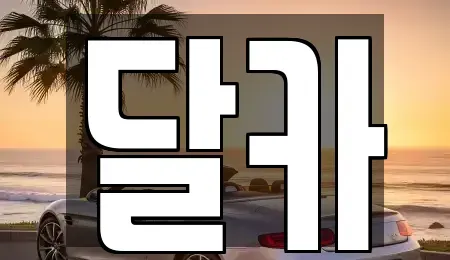 경기도 수원시 팔달구 매산로1가 단기렌트카 전문 달카