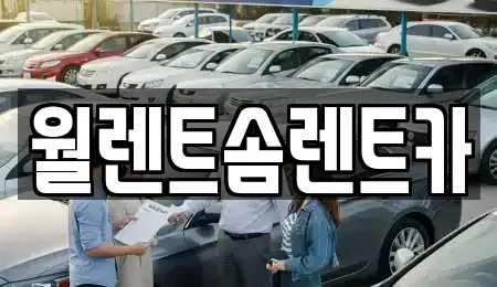 경기도 수원시 팔달구 매산로1가 렌트카 전문 월렌트솜렌트카