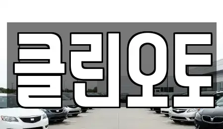 경기도 수원시 팔달구 매산로1가 중고차 전문 클린오토