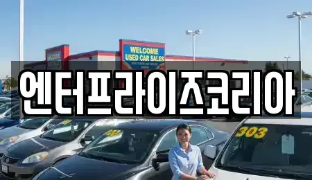경기도 시흥시 배곧동 단기렌트카,중고차매입,중고차매매,중고차,렌트카,장기렌트카
