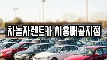 경기도 시흥시 배곧동 렌트카 전문 차놀자렌트카 시흥배곧지점