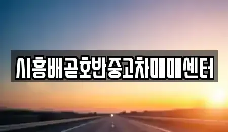 경기도 시흥시 배곧동 중고차매매 전문 시흥배곧호반중고차매매센터