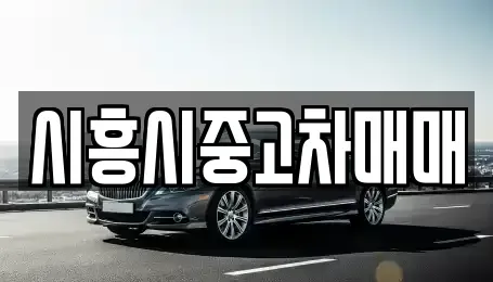 경기도 시흥시 배곧동 중고차매매 전문 시흥시중고차매매