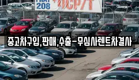 경기도 시흥시 배곧동 중고차매매 전문 중고차구입,판매,수출-무심사렌트차결사