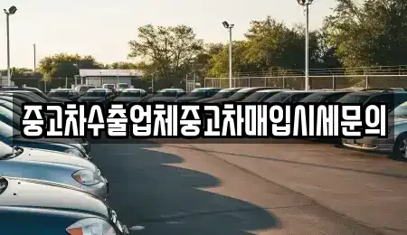 경기도 시흥시 배곧동 중고차매입 전문 중고차수출업체중고차매입시세문의