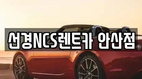 경기도 안산시 단원구 렌트카 전문 선경NCS렌트카 안산점