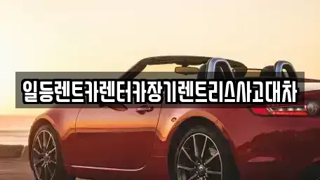 경기도 안산시 단원구 장기렌트카 전문 일등렌트카렌터카장기렌트리스사고대차