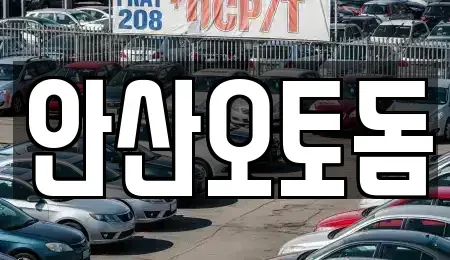 경기도 안산시 단원구 중고차매매 전문 안산오토돔