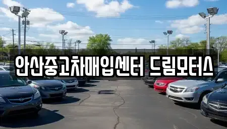 경기도 안산시 단원구 중고차매입 전문 안산중고차매입센터 드림모터스