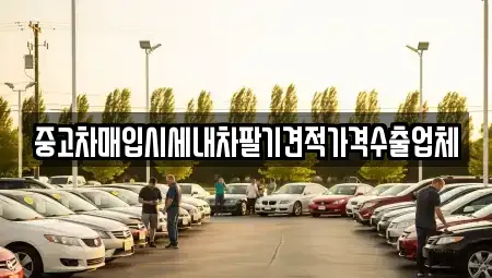 경기도 안산시 단원구 중고차매입 전문 중고차매입시세내차팔기견적가격수출업체