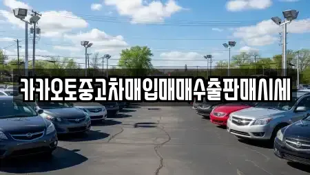 경기도 안산시 단원구 중고차매입 전문 카카오토중고차매입매매수출판매시세