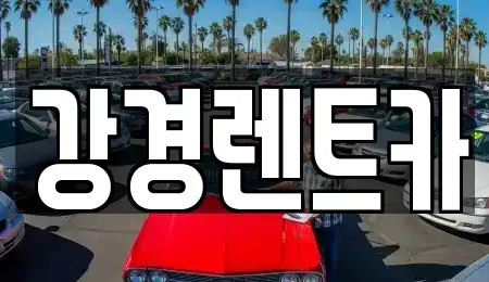 경기도 안산시 단원구 초지동 렌트카 전문 강경렌트카