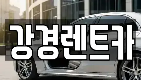 경기도 안산시 단원구 초지동 렌트카 전문 강경렌트카