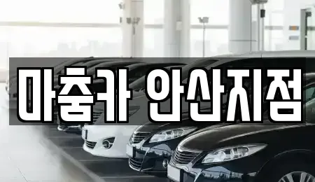 경기도 안산시 단원구 초지동 렌트카 전문 마춤카 안산지점
