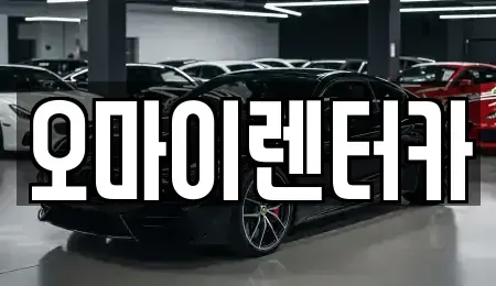 경기도 안산시 단원구 초지동 렌트카 전문 오마이렌터카