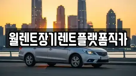 경기도 안산시 단원구 초지동 장기렌트카 전문 월렌트장기렌트플랫폼직카