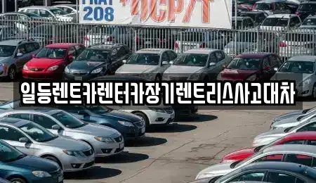 경기도 안산시 단원구 초지동 장기렌트카 전문 일등렌트카렌터카장기렌트리스사고대차