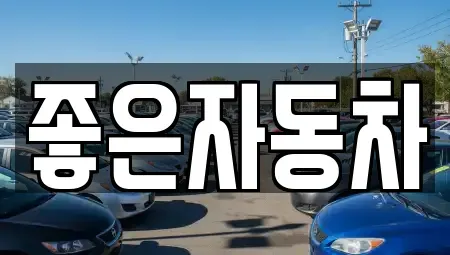 경기도 안산시 단원구 초지동 중고차 전문 좋은자동차