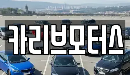 경기도 안산시 단원구 초지동 중고차 전문 카리브모터스