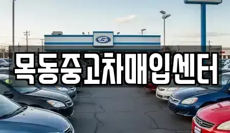 경기도 안산시 단원구 초지동 중고차매입 전문 목동중고차매입센터