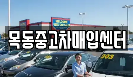 경기도 안산시 단원구 초지동 중고차매입 전문 목동중고차매입센터