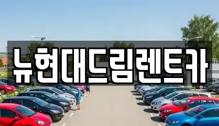 경기도 안산시 단원구 화정동 렌트카 전문 뉴현대드림렌트카