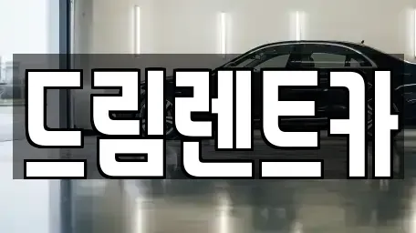 경기도 안산시 단원구 화정동 렌트카 전문 드림렌트카