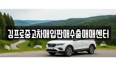경기도 안산시 단원구 화정동 중고차매입 전문 김프로중고차매입판매수출매매센터