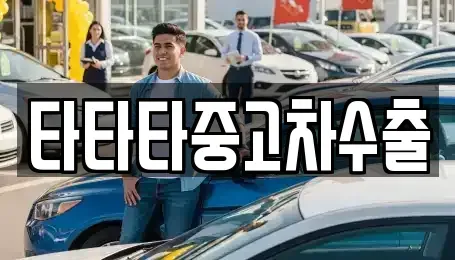 경기도 안성시 고삼면 중고차 전문 타타타중고차수출