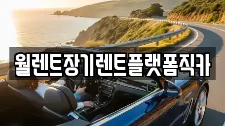 경기도 안성시 봉산동 장기렌트카 전문 월렌트장기렌트플랫폼직카