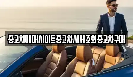 경기도 안성시 봉산동 중고차 전문 중고차매매사이트중고차시세조회중고차구매