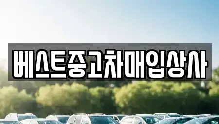 경기도 안성시 봉산동 중고차매입 전문 베스트중고차매입상사