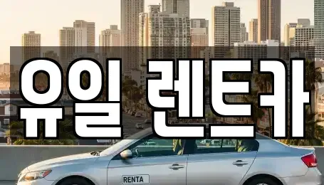 경기도 안양시 동안구 렌트카 전문 유일 렌트카