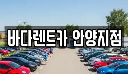 경기도 안양시 동안구 장기렌트카 전문 바다렌트카 안양지점