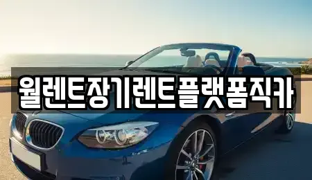 경기도 안양시 동안구 장기렌트카 전문 월렌트장기렌트플랫폼직카
