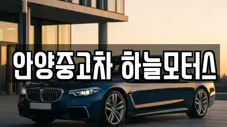 경기도 안양시 동안구 중고차 전문 안양중고차 하늘모터스