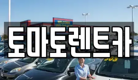 경기도 여주시 창동 렌트카 전문 토마토렌트카
